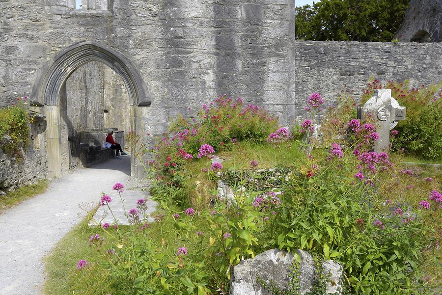 Killarney National Park - Muckross Abbey