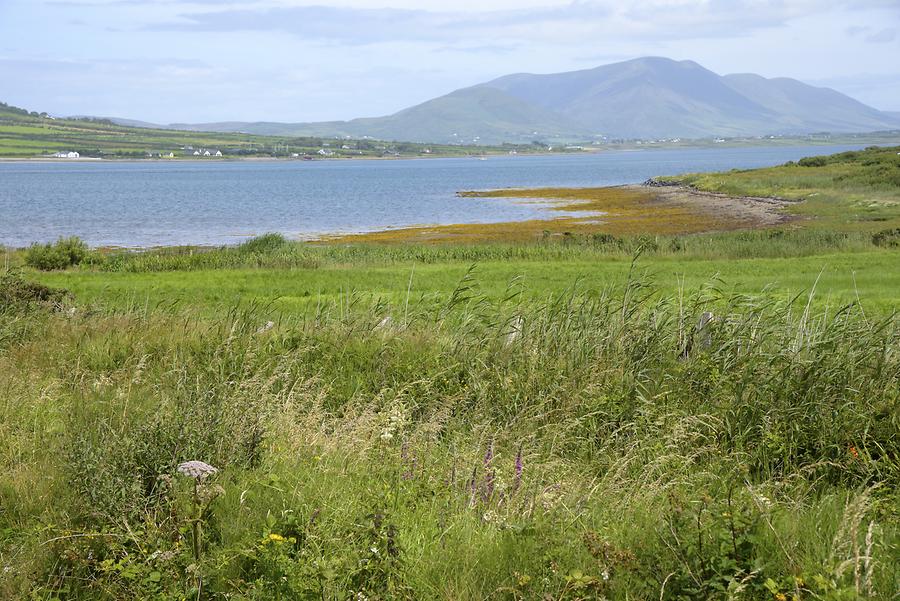 Landscape near Ring of Kerry