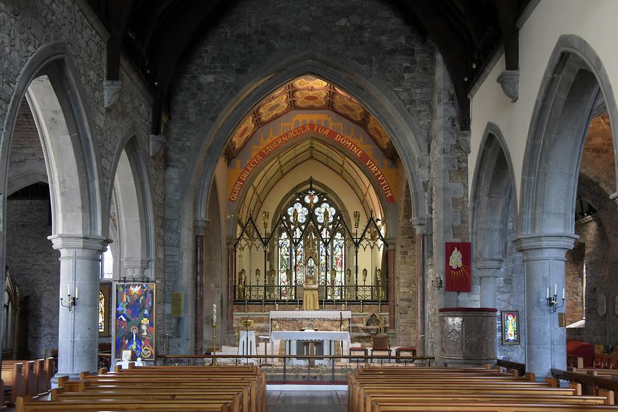 Dingle Peninsula - Adare; Trinitarian Abbey; Nave