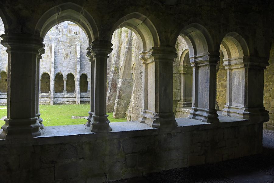 Quin - Quin Abbey; Cloister