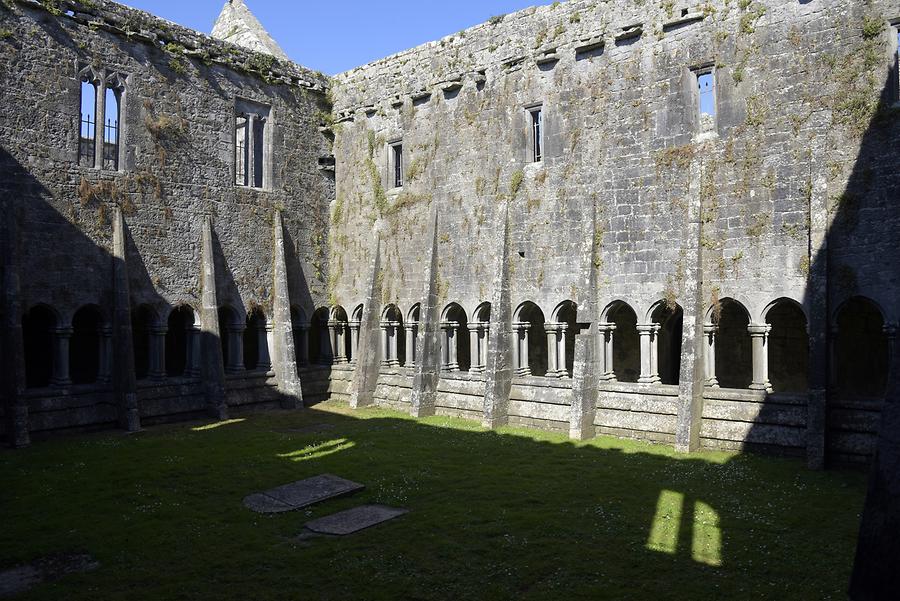 Quin - Quin Abbey; Cloister