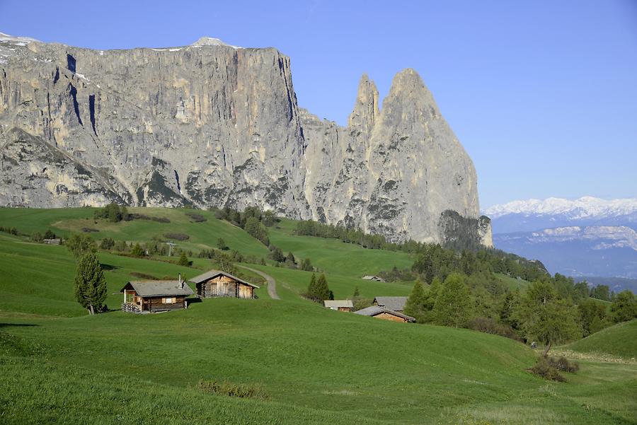 Alpine pasture near Sciliar - Schlern