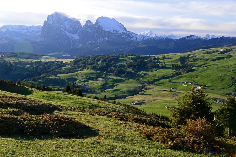 Alpine pasture with mountain range