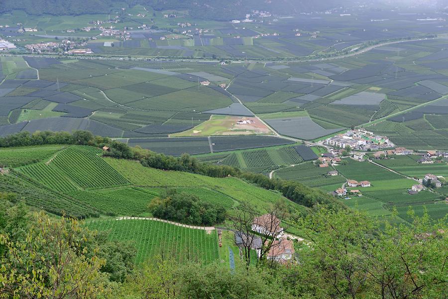 Vineyards near Appiano - Eppan