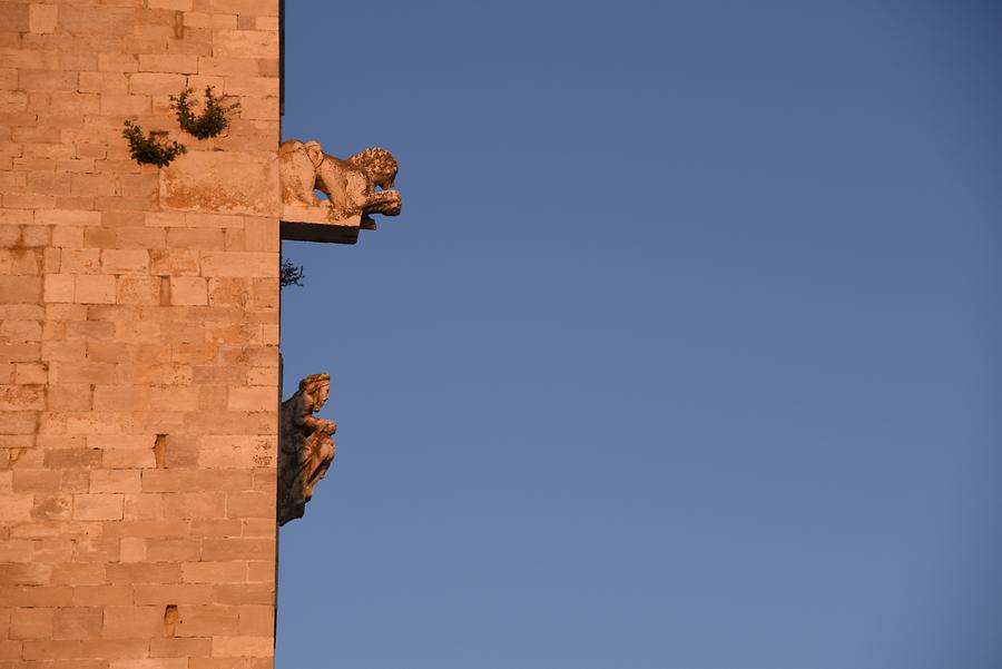 Trani - Cathedral; Façade Detail