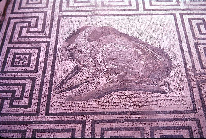 Floor mosaic, Pompeii