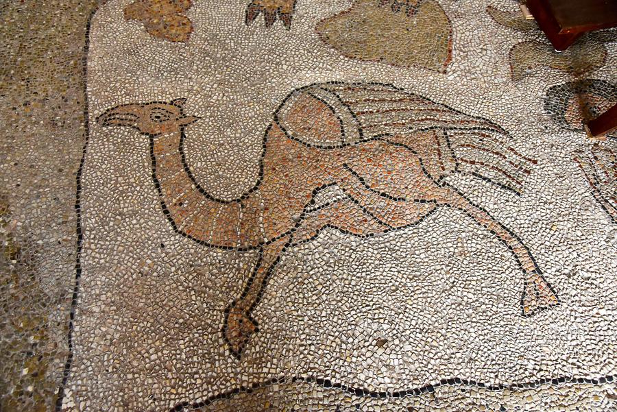 Otranto - Cathedral; Mosaic Floor