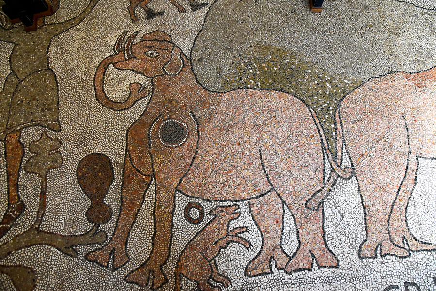 Otranto - Cathedral; Mosaic Floor