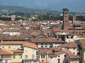 Lucca - Torre Guinigi (1)