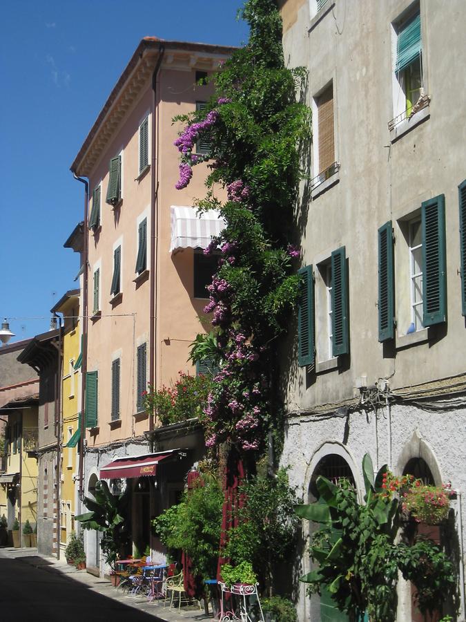 Pietrasanta - Via Mazzini