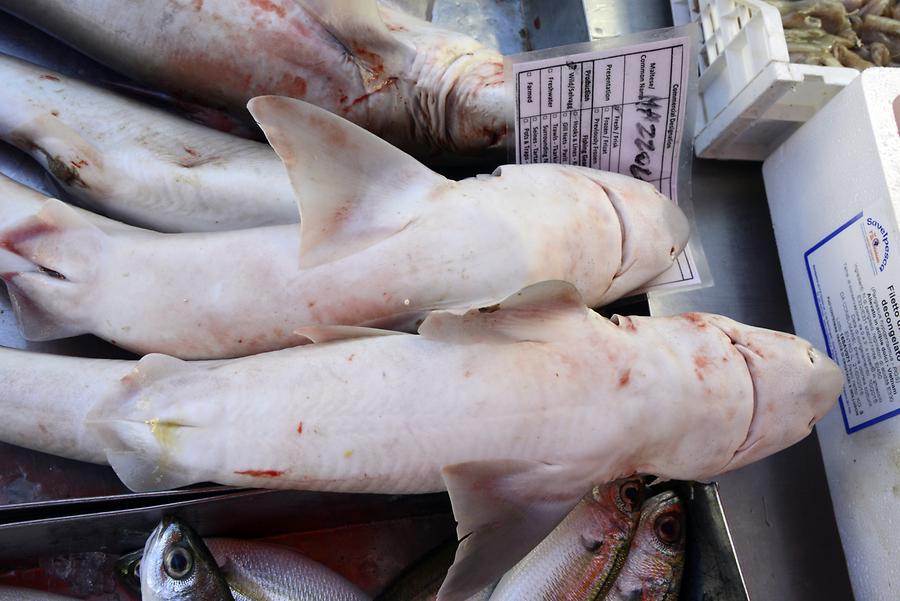 Marsaxlokk - Fish Market; Sharks