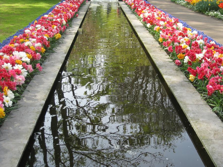 Keukenhof, water basin with tulips