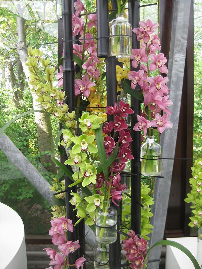Keukenhof, pink orchids