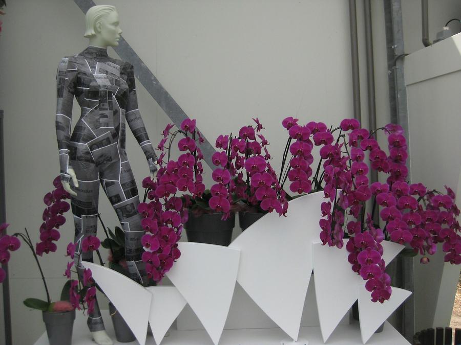 Keukenhof, modern sculpture with pink orchids