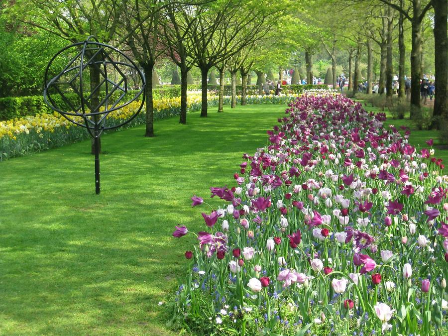 flower beds with tulips in yellow and pink