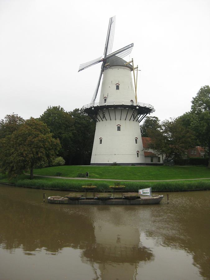 Middelburg - Windmill