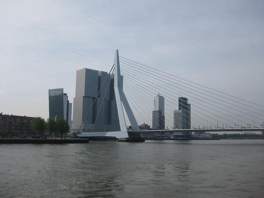 Rotterdam - Erasmus Bridge