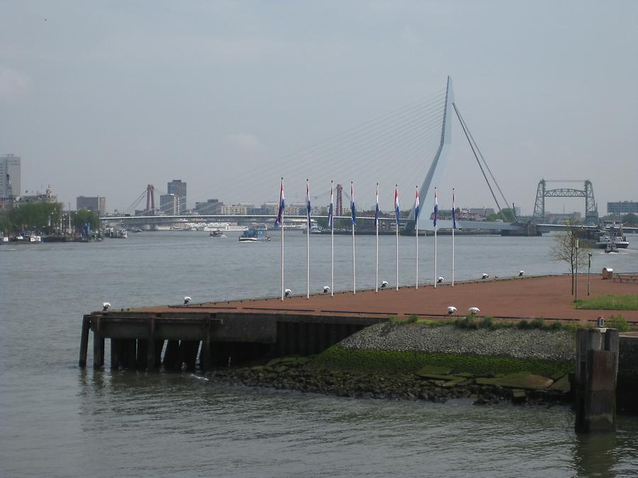 Rotterdam - Erasmus Bridge