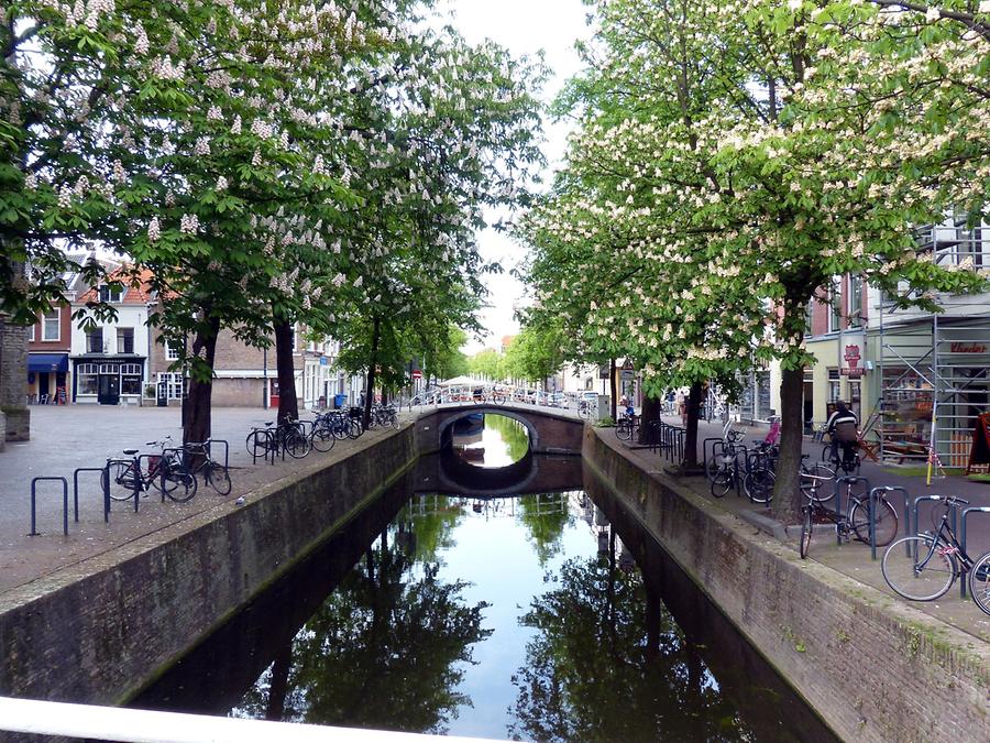 Delft - Gracht with Flowering Chestnut Trees