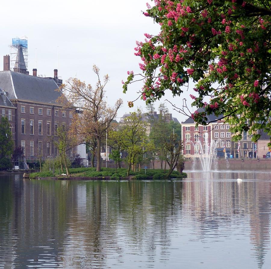 The Hague - Hofvijver, the Court Pond