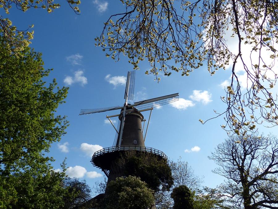 Leiden - Windmill