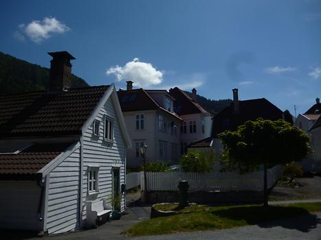 Bergen - Suburb, Photo: T. Högg, 2014