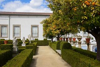 Castelo Branco - Garden of the Episcopal Palace (3)