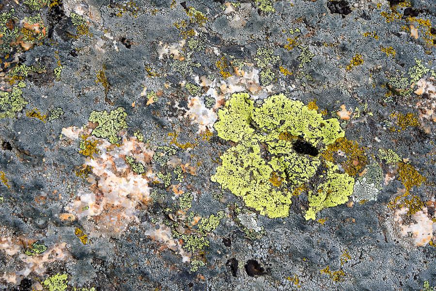 Drive up to Mountain Torre - Granite Rocks; Lichen