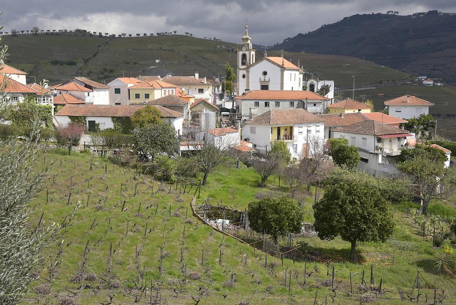 Vineyards near Lamego