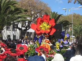 Funchal - Avenida do Mar - Festa da Flor (4)