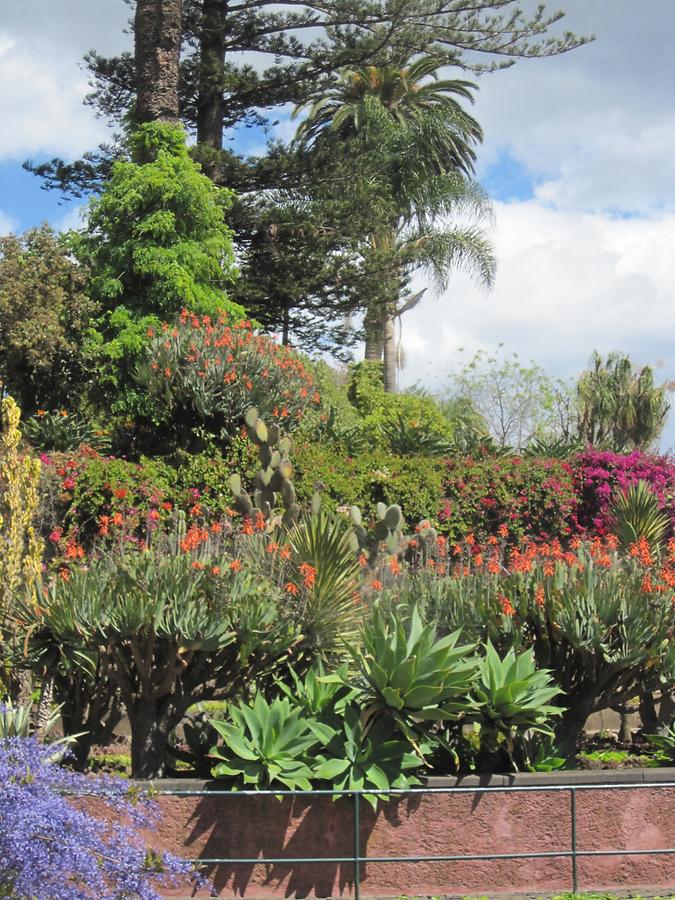 Funchal - Jardim Botanico