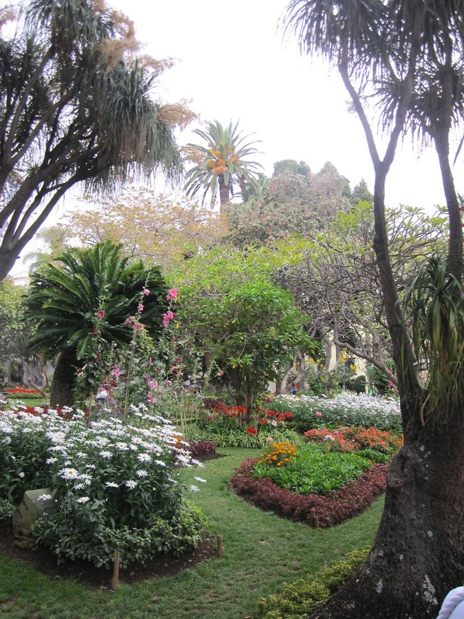 Funchal - Jardim Municipal