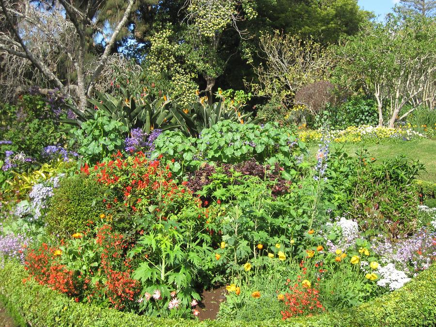 Funchal - Jardins do Palheiro Blandy's Garden