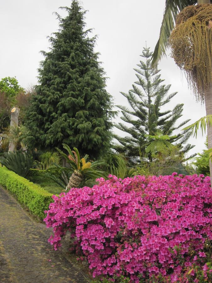 Monte - Jardim Tropical