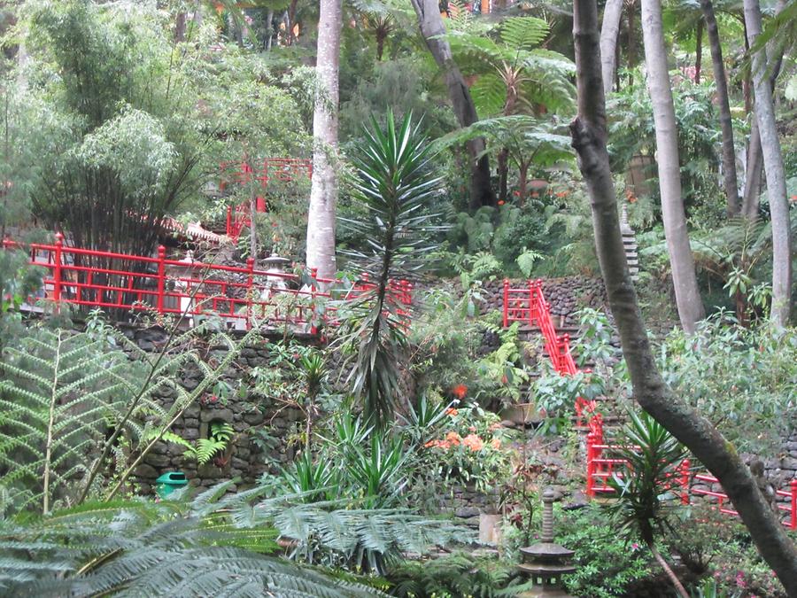 Monte - Jardim Tropical