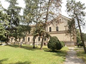 Palace Staro Zdanje, Arandjelovac Town (1)