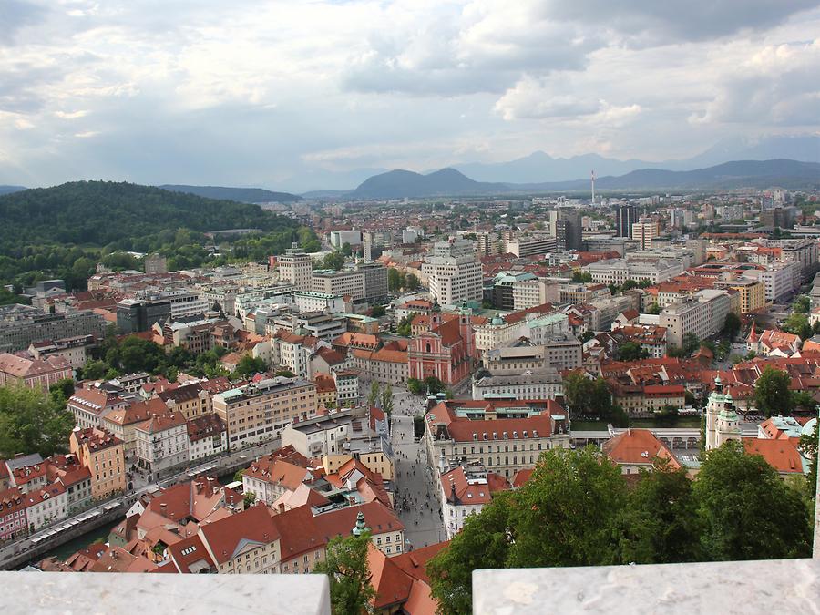 Panoramic View from the Observation Tower