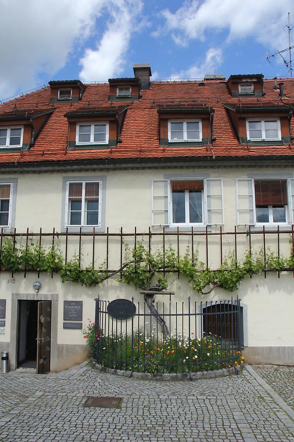 Old Vine House