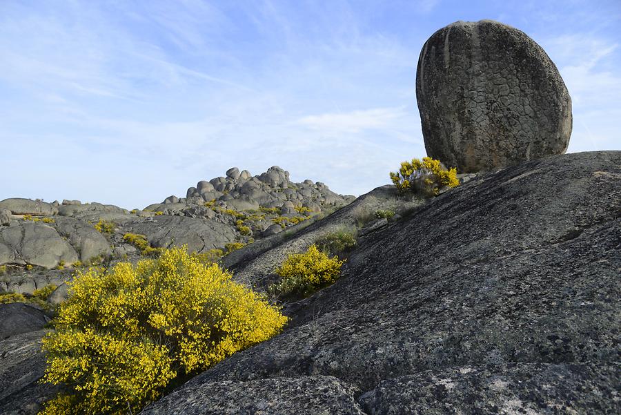Granite Landscape near Valencia de Alcántara