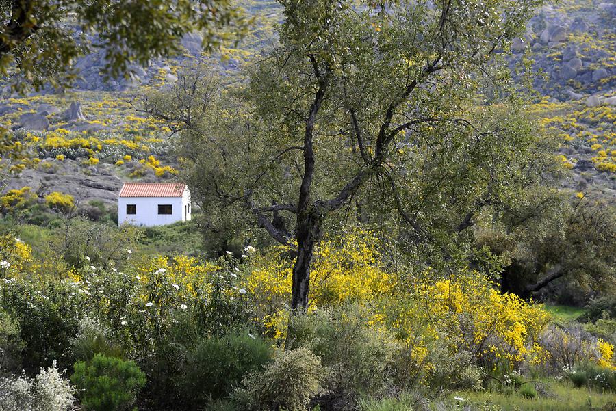 Landscape near Valencia de Alcántara