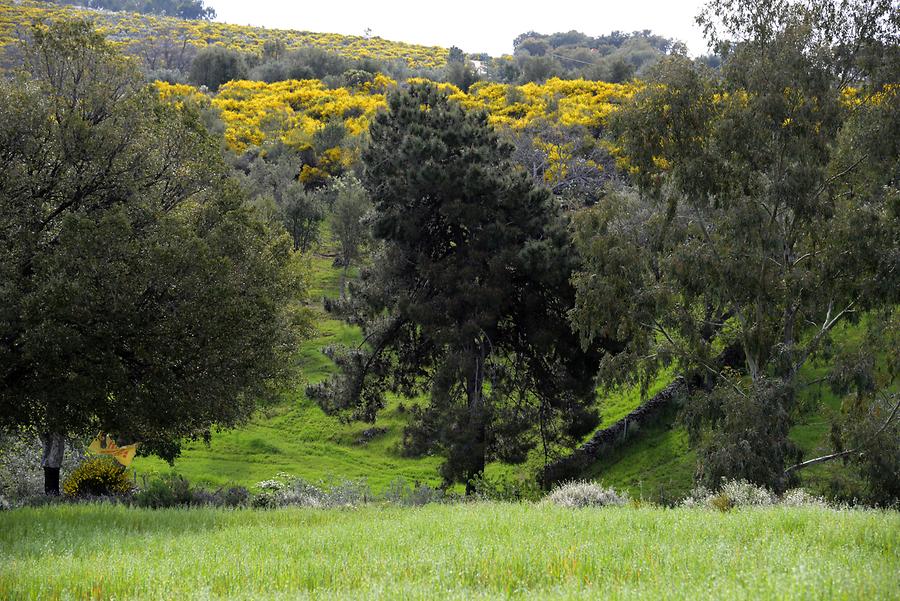 Landscape near Valencia de Alcántara