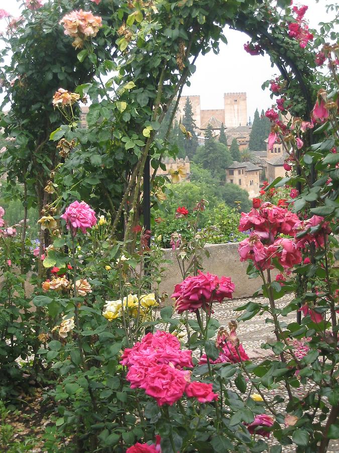 Granada - Alhambra - Blick vom Generalife