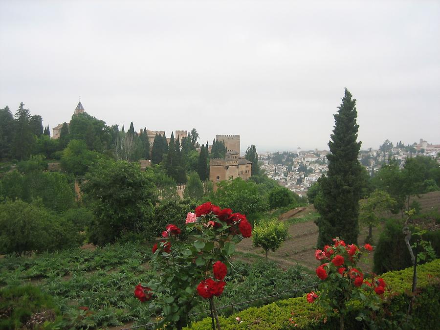 Granada - Alhambra - Blick von Generalife