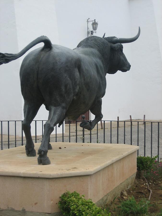 Ronda - Plaza de Toros - Toro