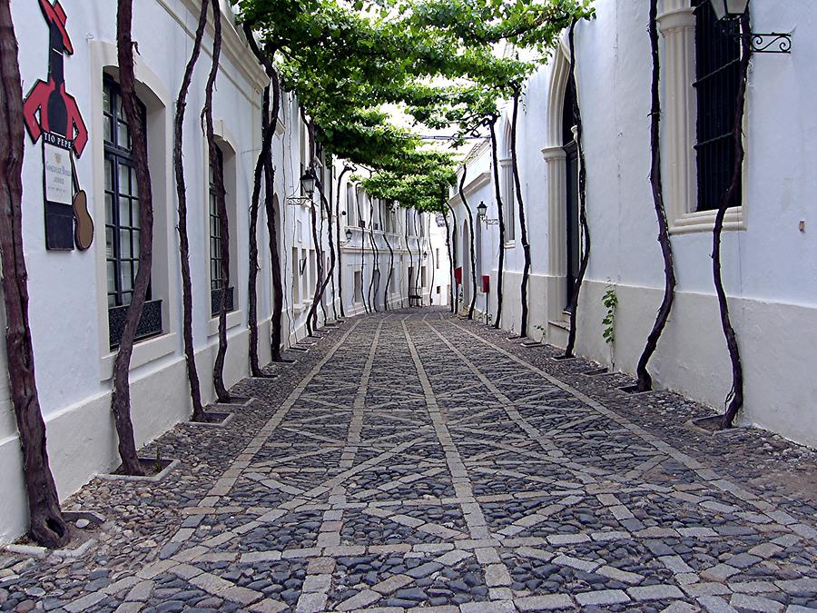 Jerez de la Frontera - Near Gonzales Byass