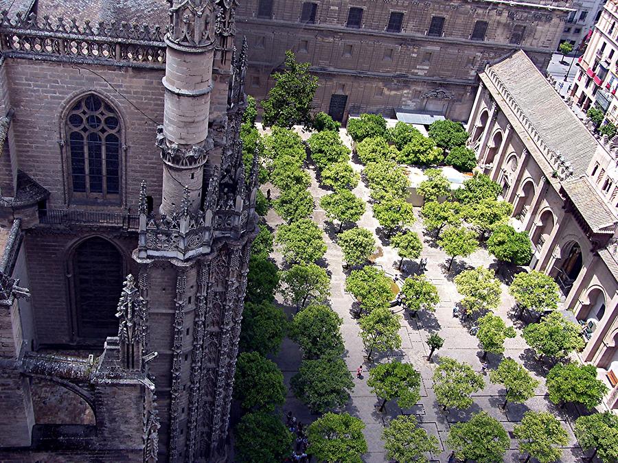 Seville Cathedral – View of the orange courtyard