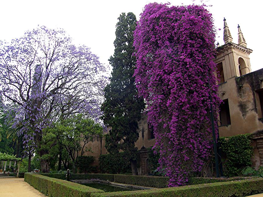 Seville Reales Alcazares - Gardens