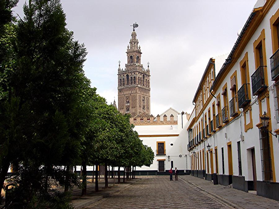 Seville Reales Alcazares – Patio de las Banderas