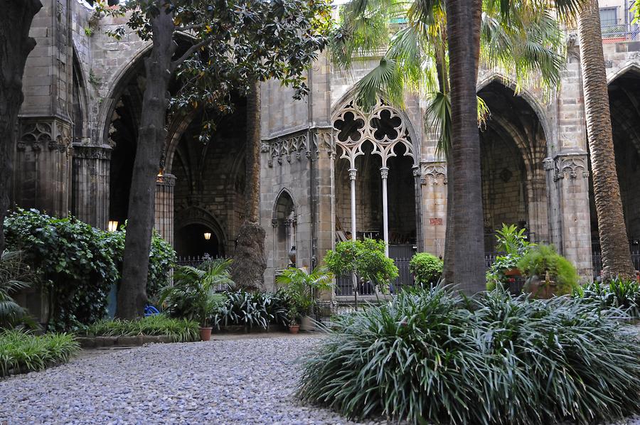 Cathedral - Cloister