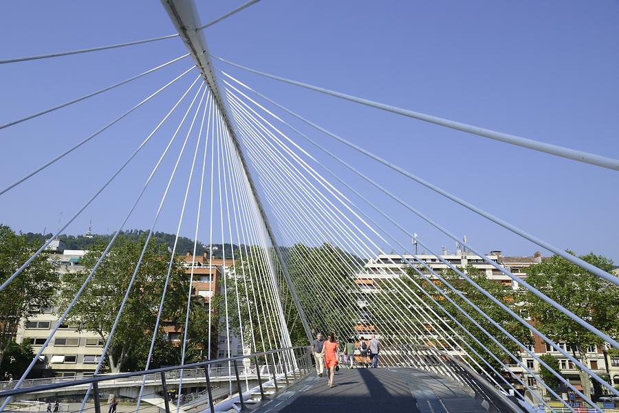 Zubizuri Bridge
